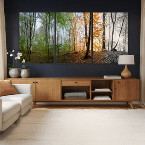 Four Seasons Wall Art Forest Canvas Print – Triptych