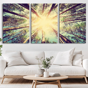Tree and Sunshine Canvas Print