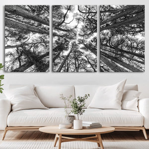 Trees Contemporary Art Canvas Print