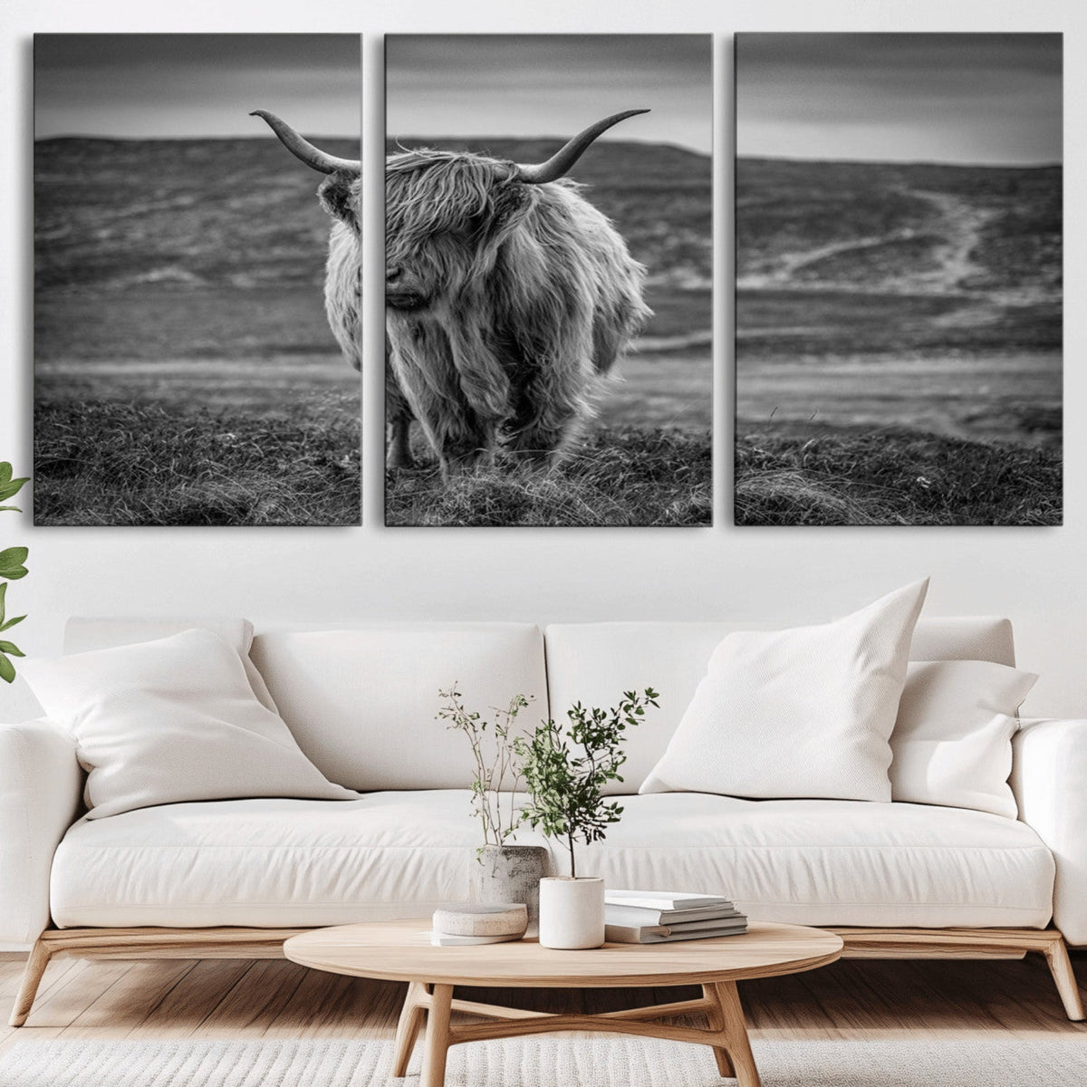 Fluffy Cattle Wall Art Print, Highland Cow Canvas, Framed
