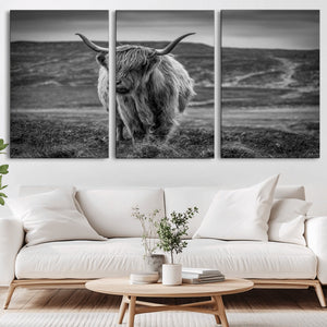 Fluffy Cattle Wall Art Print, Highland Cow Canvas, Framed