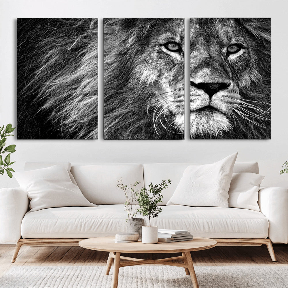 Black and White Lion Canvas Wall Art Print – Wildlife