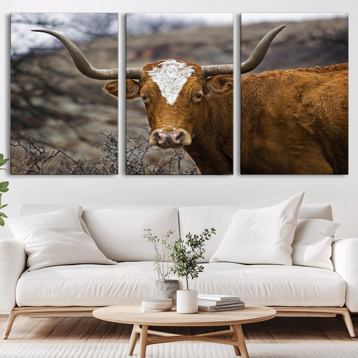 Texas Longhorn Canvas Wall Art - Longhorn Steer Canvas Wall