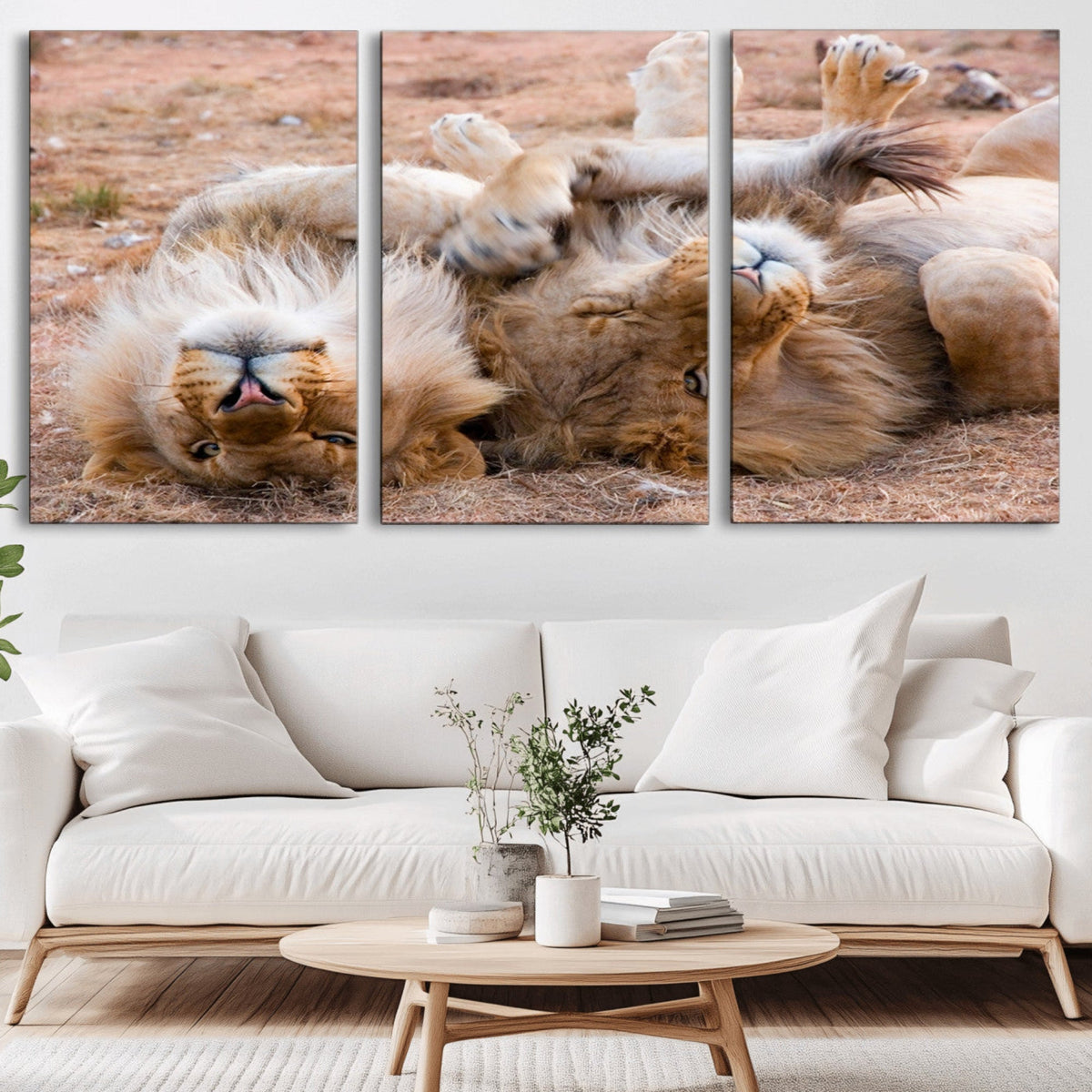Lion Pair Wall Art Canvas Print – Framed Wildlife Scene with