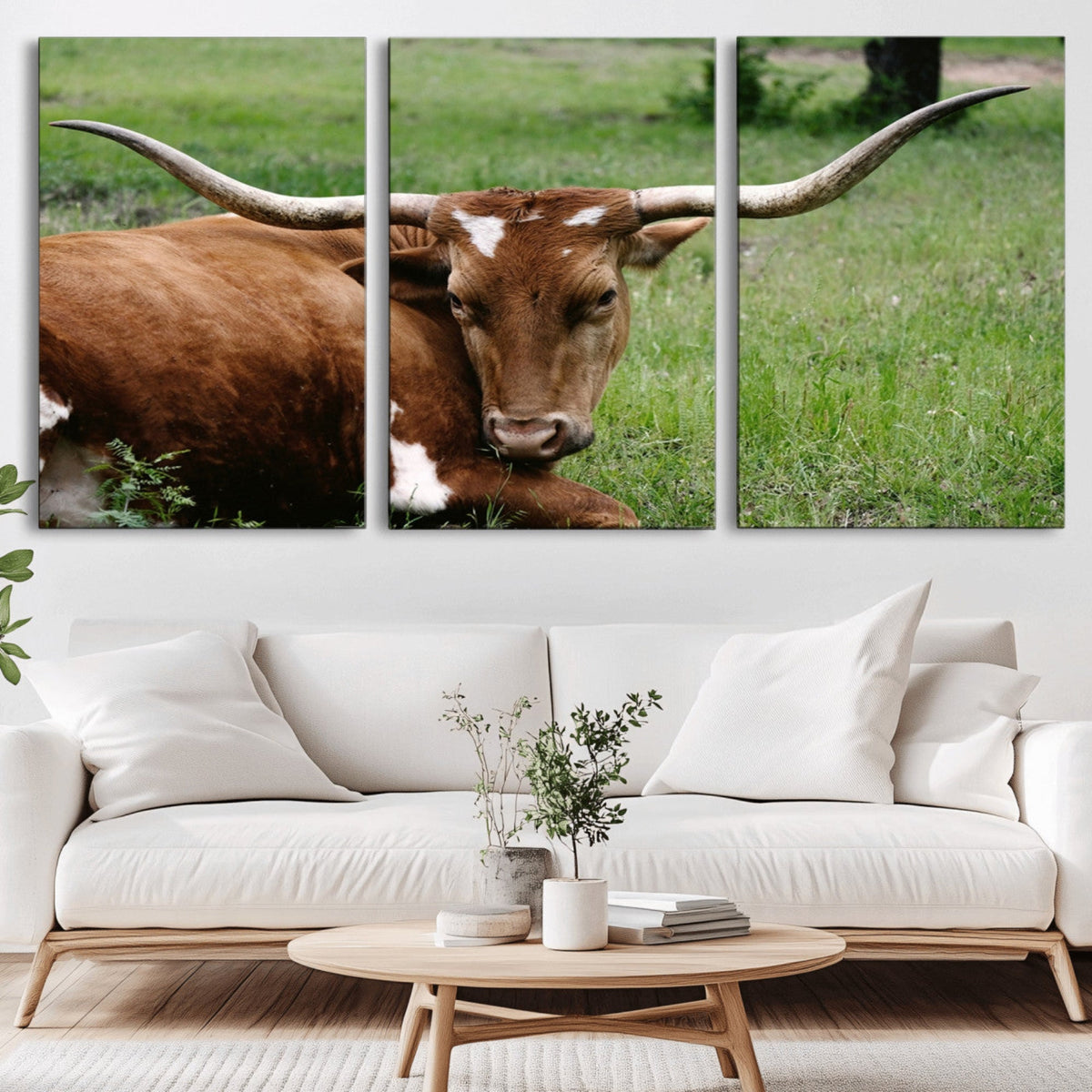 Longhorn Cow Animal Wall Art Canvas Print