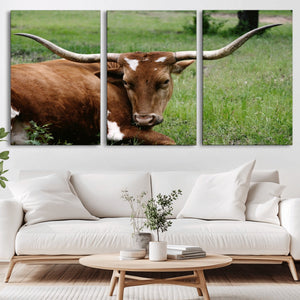 Longhorn Cow Animal Wall Art Canvas Print