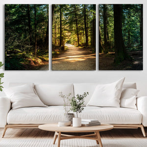 Sunlit Forest Pathway Canvas Print | 3 Panel Large Nature