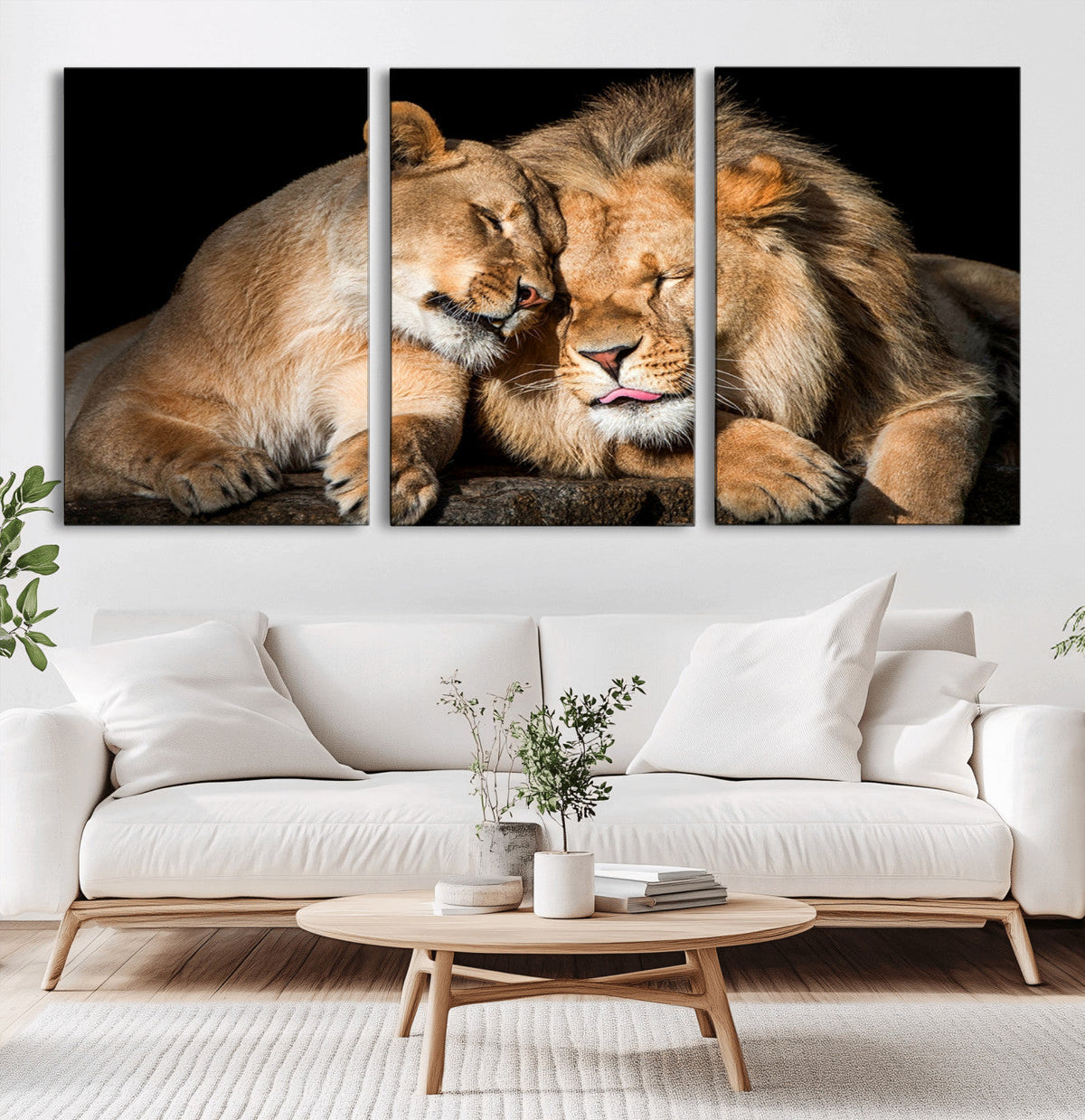 Lion and Lioness Wall Art Canvas Print – Framed African
