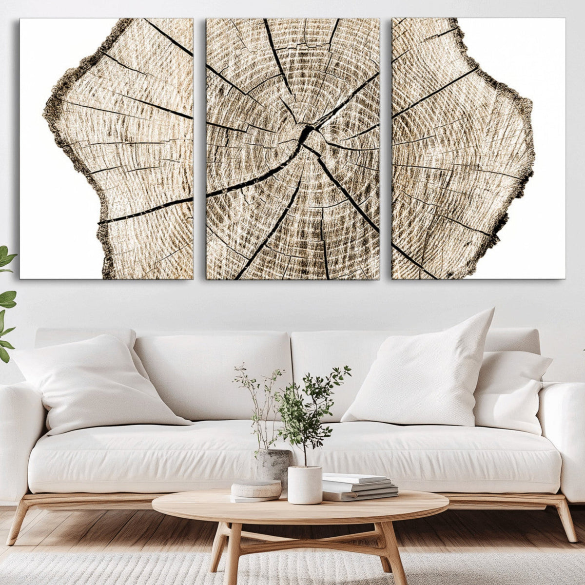 Abstract Wood Tree Ring Wall Art - Ready to Hang Minimalist