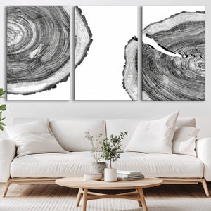 Abstract Large Tree Rings – Minimalist Black and White Wood