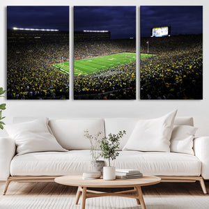 Michigan Wolverines Football Canvas Wall Decor, Football
