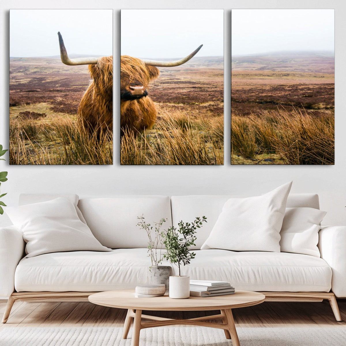 Scottish Highland Cow Canvas Wall Art – Rustic Farmhouse