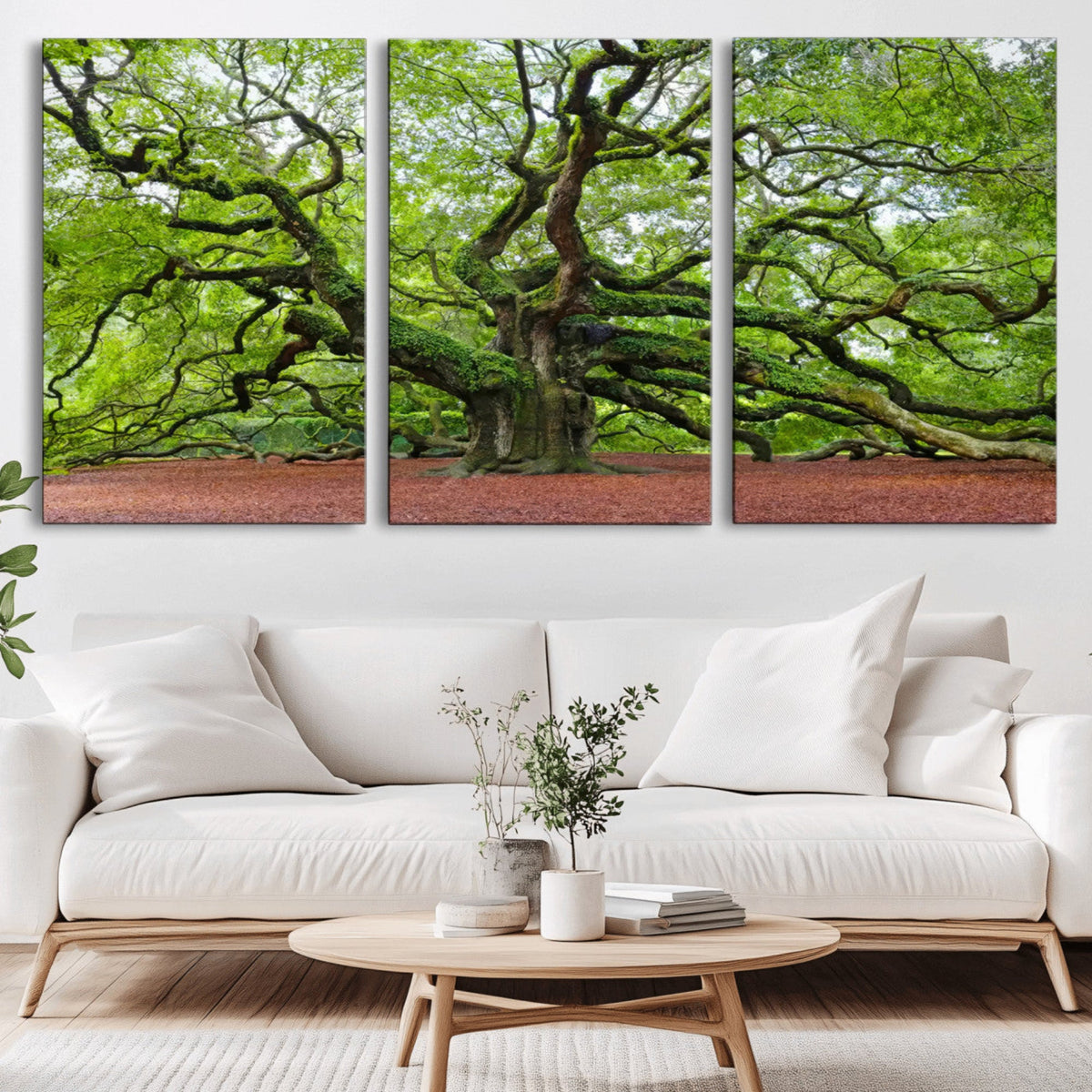 Framed Angel Oak Tree Wall Art - 3-Panel Canvas Prints,