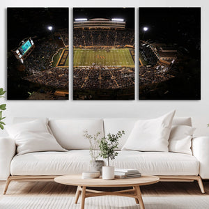 Wake Forest University Demon Deacons Canvas Printi, Football