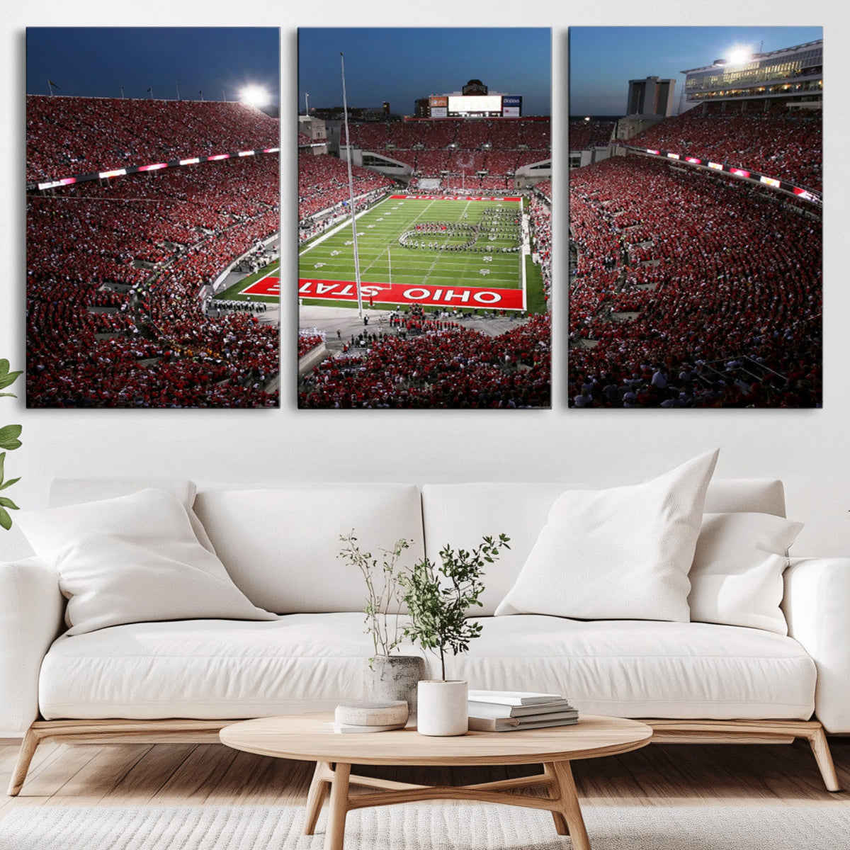 Ohio State University Buckeyes Football Team Print -