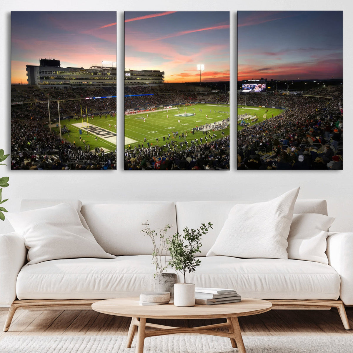 The University of Connecticut UCONN Huskies Football Team
