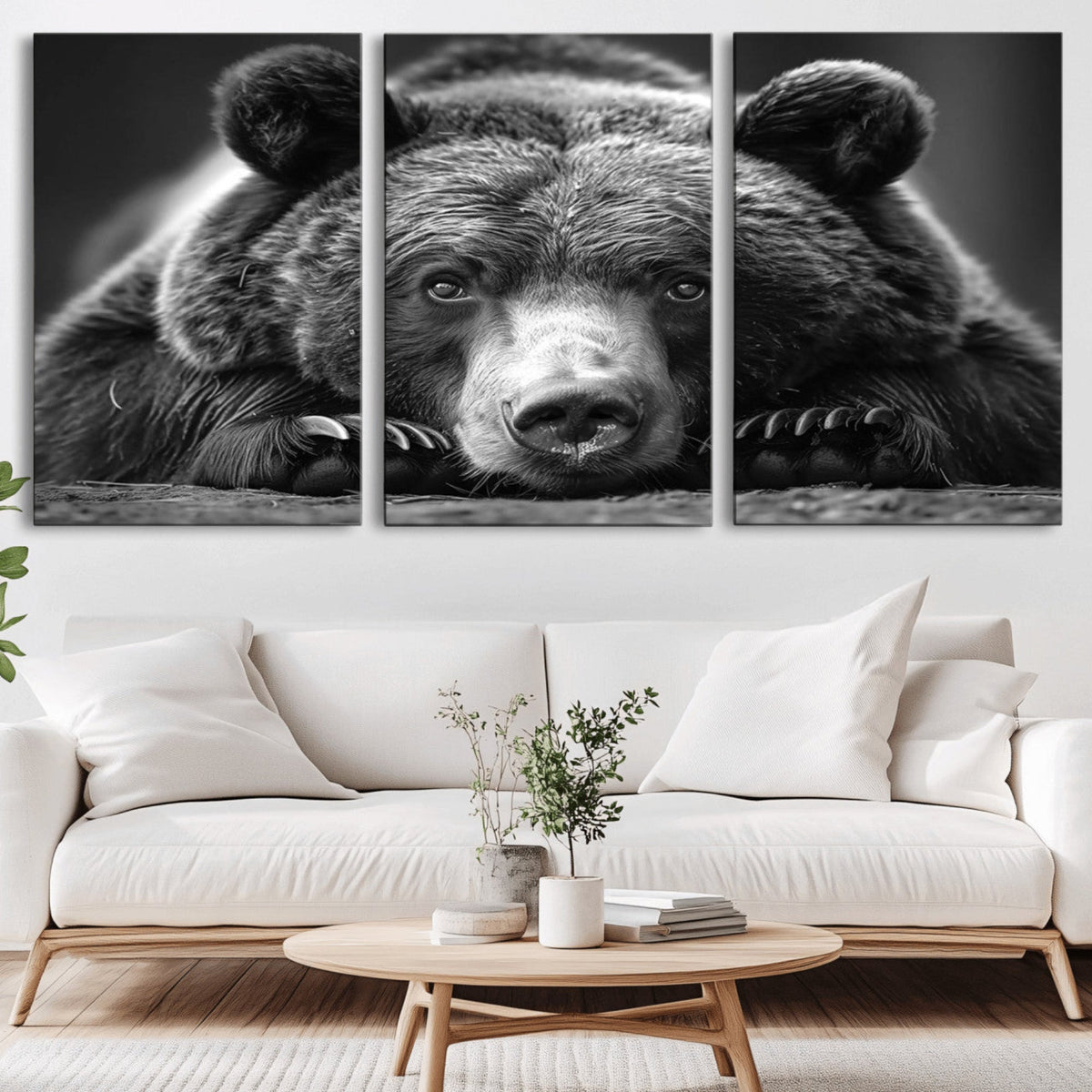 Resting Grizzly 399 Bear Canvas Print | Ready to Hang Wall