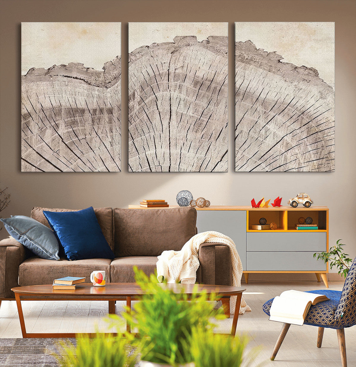 Tree Ring Wall Art Triptych, Rustic Wood Ring Canvas Print,