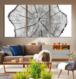 Rustic Tree Ring Wall Art Canvas Print – Framed and Ready to