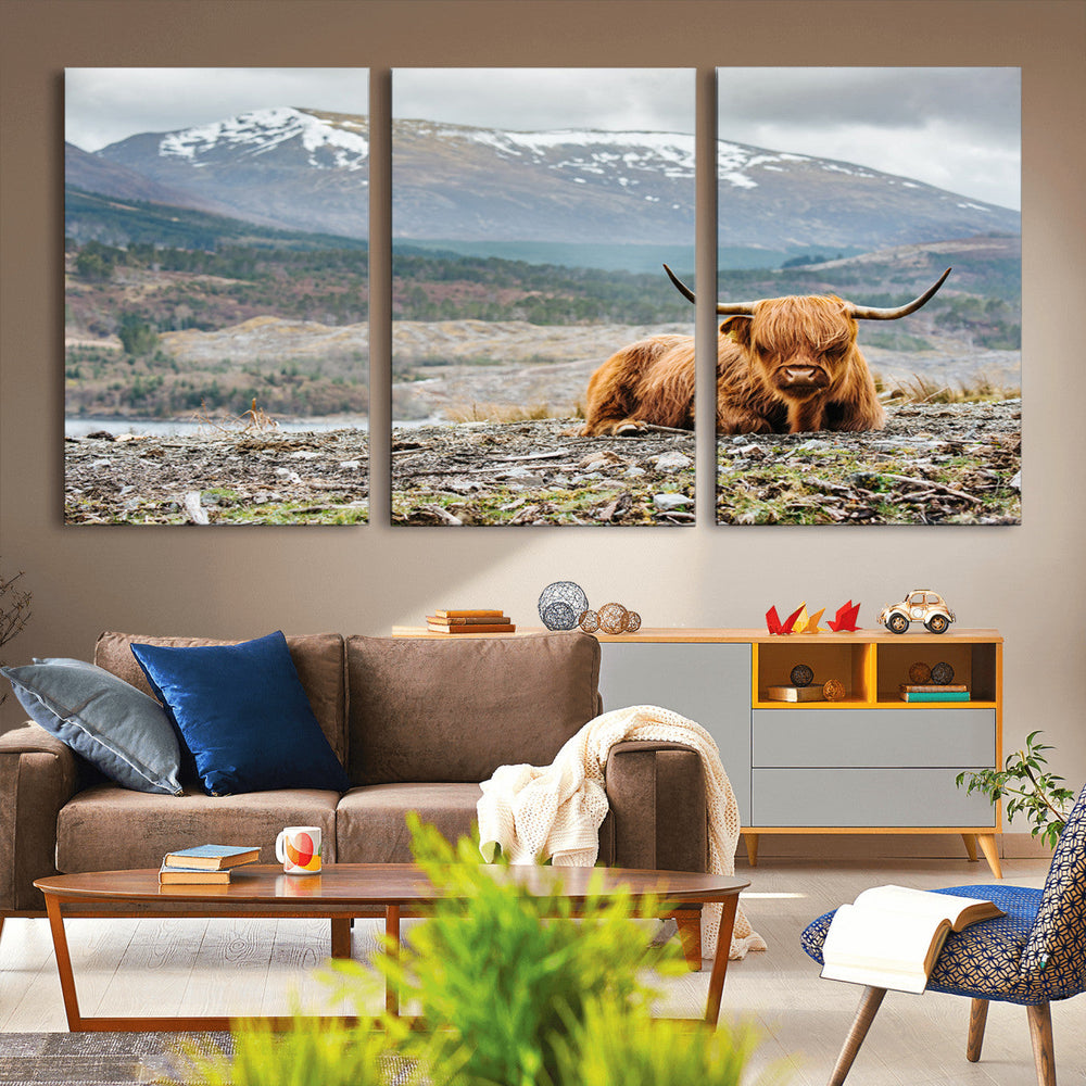 Highland Cow Horn Farm Wall Art Canvas Print