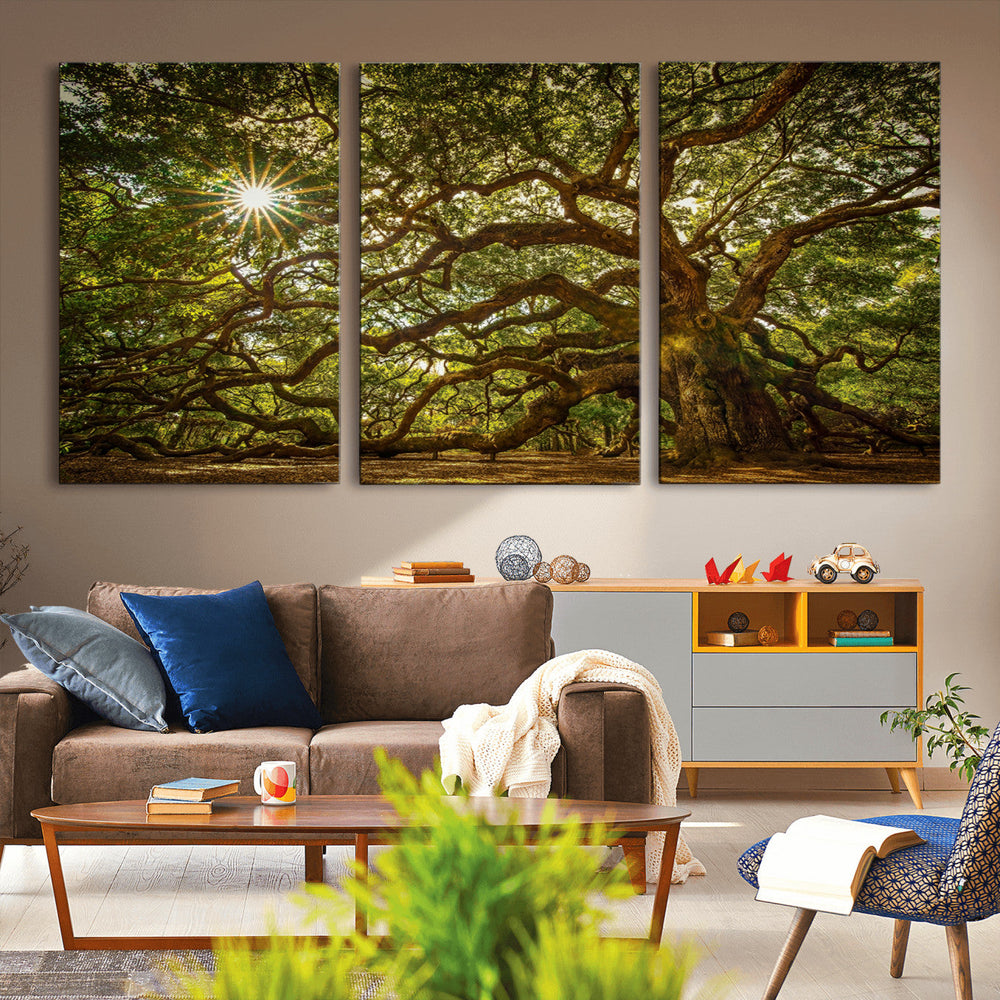 Ancient Angel Oak Tree Art Sunburst Canvas Print-