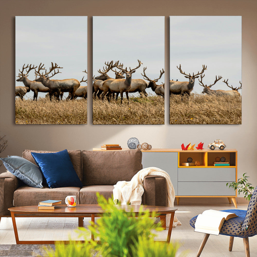 Elk Herd Wall Art Canvas Print – Framed Wildlife Photography