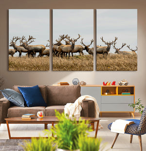 Elk Herd Wall Art Canvas Print – Framed Wildlife Photography