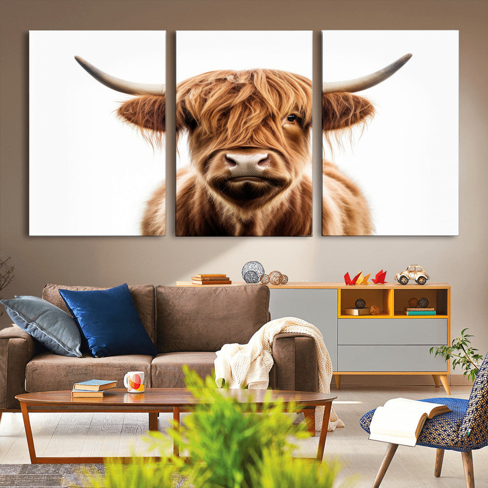 Scottish Highland Cow Canvas Print, Framed Highland Cow