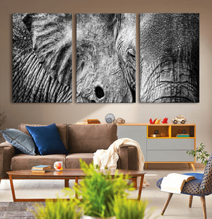 Wild Old Elephant Wall Art Canvas Print