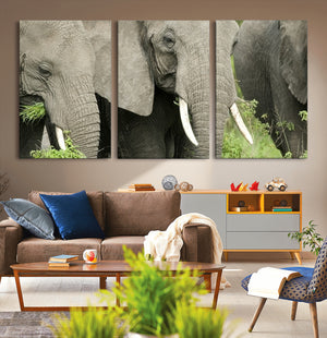 Wild Elephant Wall Art Canvas Print