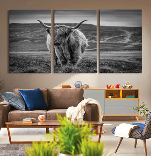 Fluffy Cattle Wall Art Print, Highland Cow Canvas, Framed