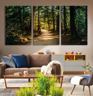 Sunlit Forest Pathway Canvas Print | 3 Panel Large Nature