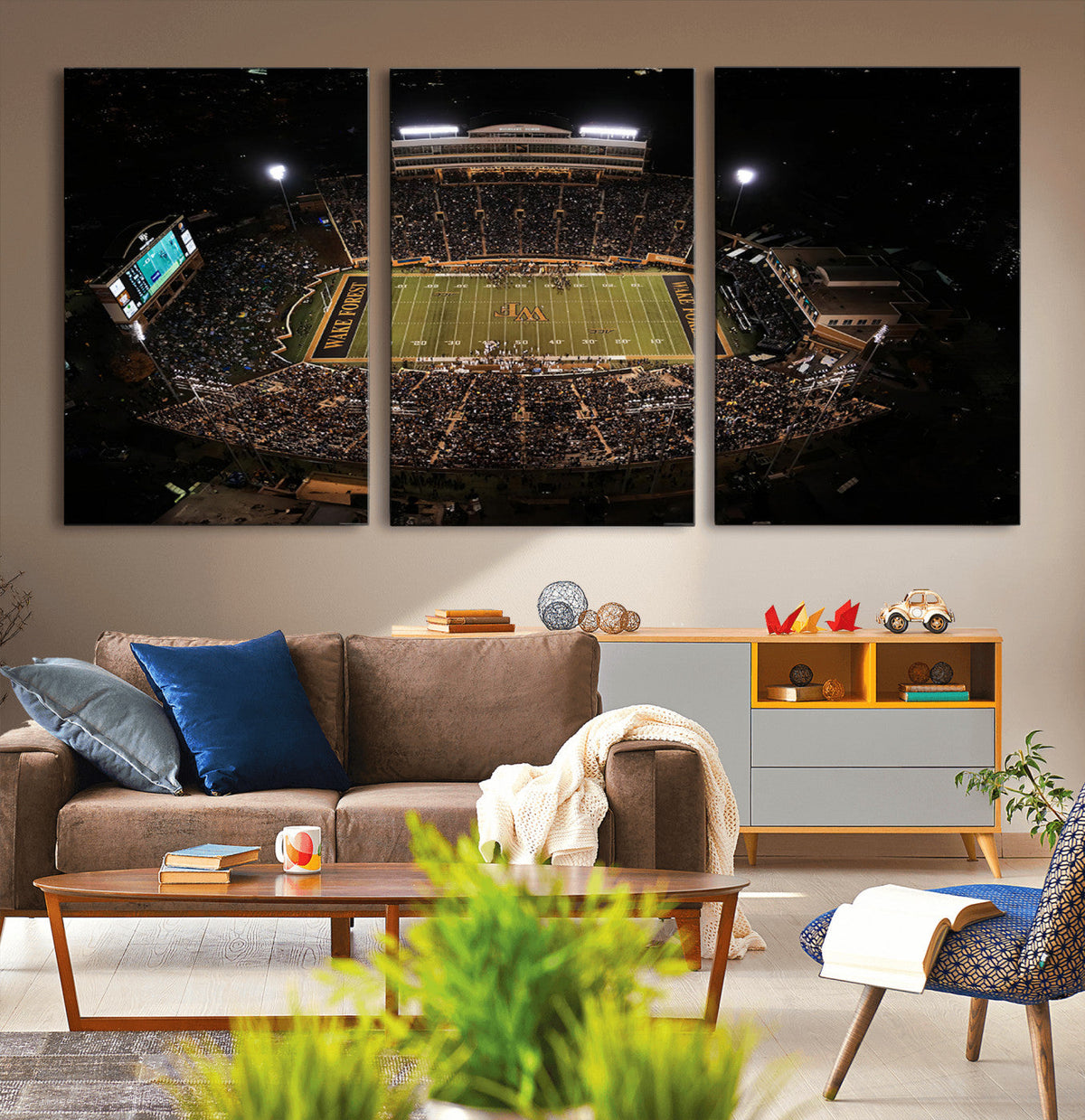 Wake Forest University Demon Deacons Canvas Printi, Football