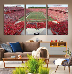 Rutgers Scarlet Knights Football Team Print - Piscataway SHI