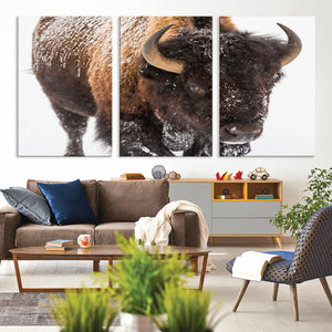 Bison Wall Art Canvas Print For Farmhouse, Wild Animal Wall