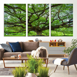 Oak Tree Wall Art Print, Forest Canvas Wall Art for Home and