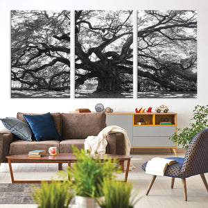 Ancient Oak Wall Art Canvas Print, Majestic Twisted Branches