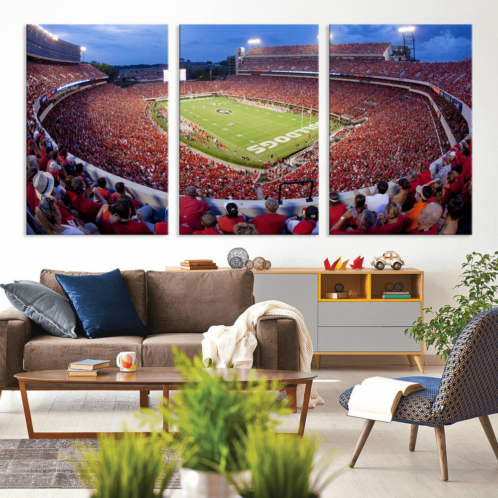 Dooley Stadium Wall Art, Sports Arena Canvas Print, Dooley
