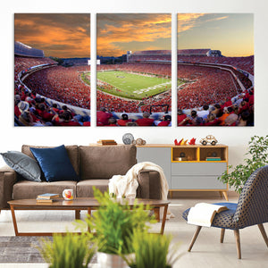 Dooley Stadium Wall Art, Sports Arena Canvas Print, Dooley