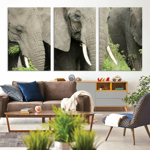 Wild Elephant Wall Art Canvas Print