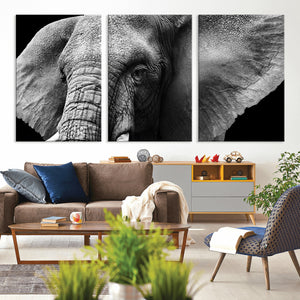 Big Elephant Close Up Wall Art Canvas Print