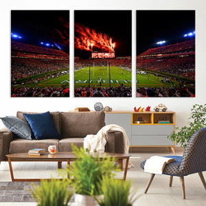 Auburn Stadium Wall Art Canvas Print, College Football Night