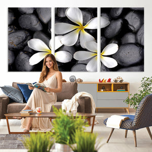 Plumeria Frangipani Black Stone Canvas | White Flower Spa