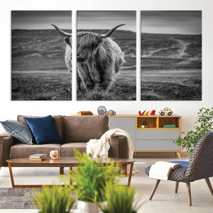 Fluffy Cattle Wall Art Print, Highland Cow Canvas, Framed