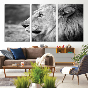 Lion Wall Art Canvas Print – Framed Majestic Wildlife