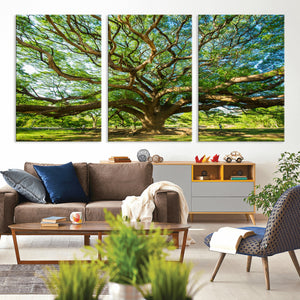 Majestic Oak Tree Wall Art – Serene Nature Canvas Print with