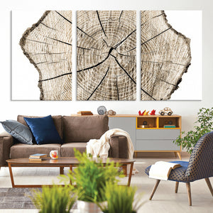 Abstract Wood Tree Ring Wall Art - Ready to Hang Minimalist