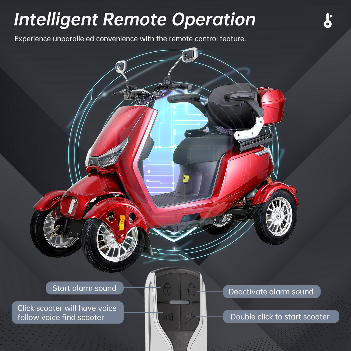 Electric Mobility Scooter with Big Size and High Power