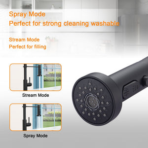 16.9" Kitchen Sink Faucet With Separate Handle And Pull Down Sprayer, Lead Free Brass - Matte Black