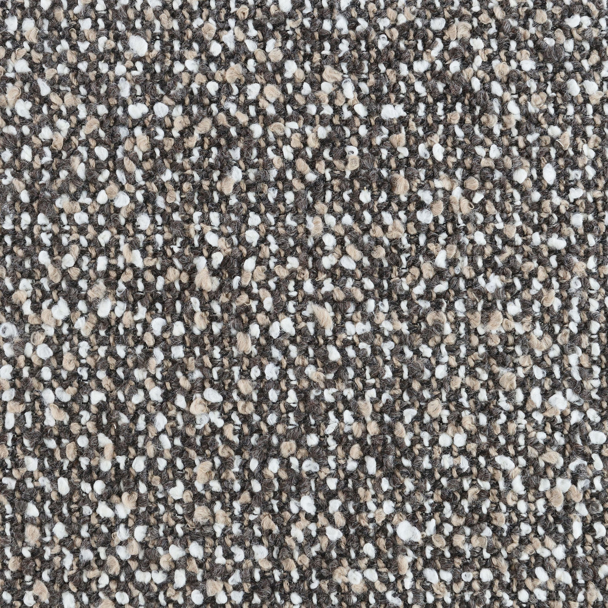 20323631